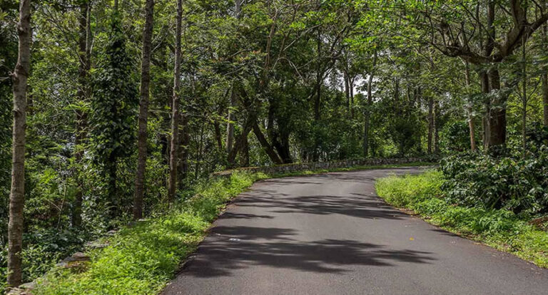 How to reach ooty from coimbatore